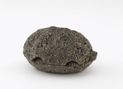 Incense Box in the Shape of a Turtle, Kyoto, Edo period by Honami Koho